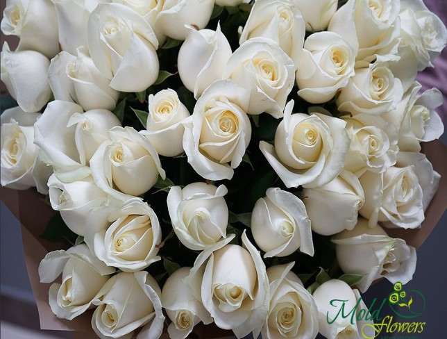 51 Dutch White Roses 50-60 cm photo